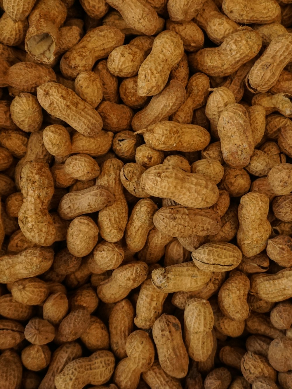 Jumbo runner peanuts