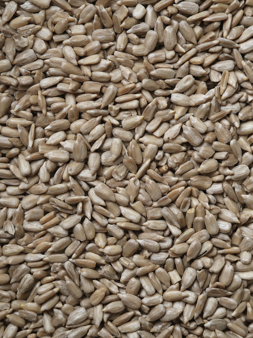 Pumpkin, sunflower and sesame seeds in bulk